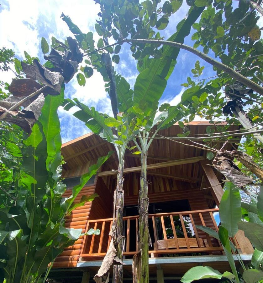 Arenal Rustic Lodge La Fortuna Ngoại thất bức ảnh