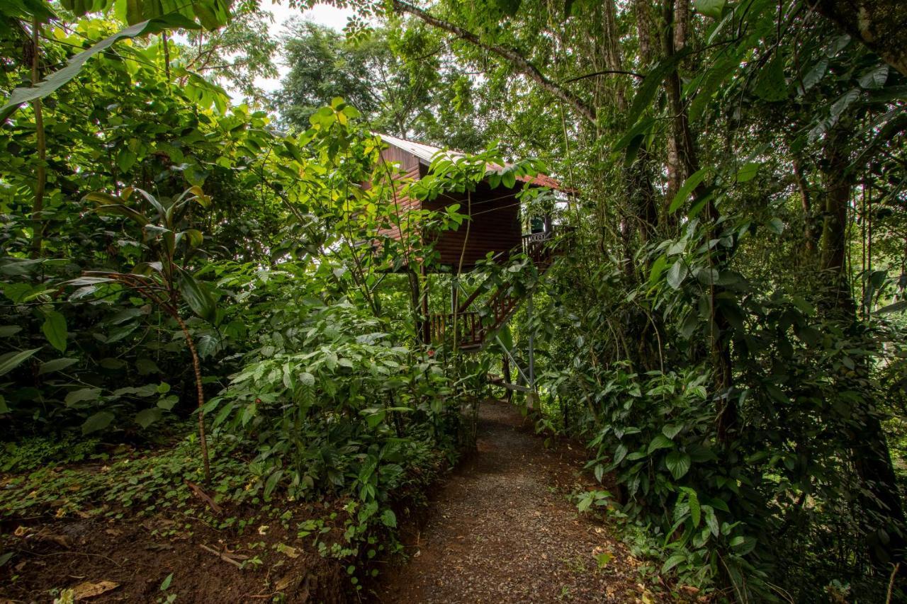 Arenal Rustic Lodge La Fortuna Ngoại thất bức ảnh