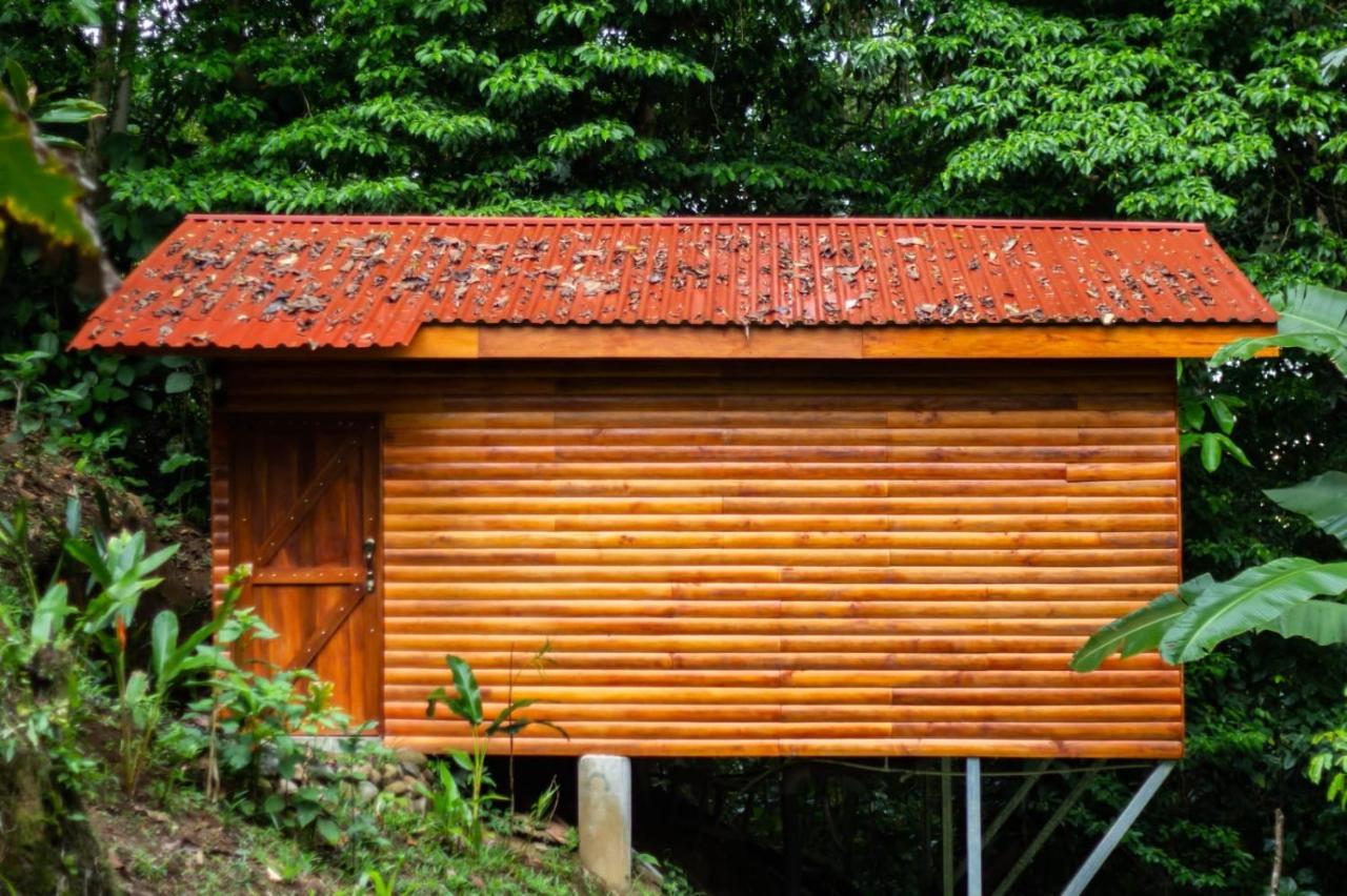 Arenal Rustic Lodge La Fortuna Ngoại thất bức ảnh
