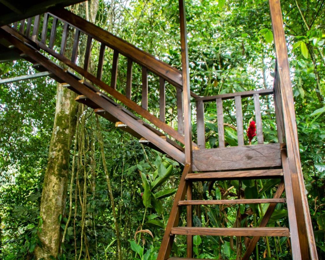 Arenal Rustic Lodge La Fortuna Ngoại thất bức ảnh