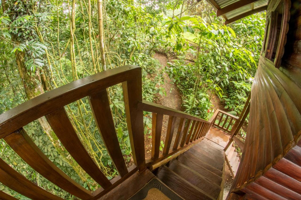 Arenal Rustic Lodge La Fortuna Ngoại thất bức ảnh