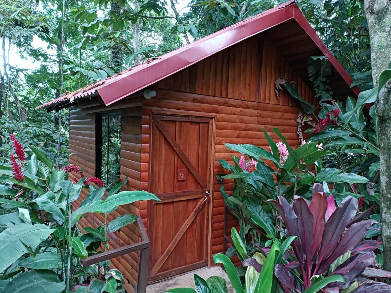 Arenal Rustic Lodge La Fortuna Ngoại thất bức ảnh