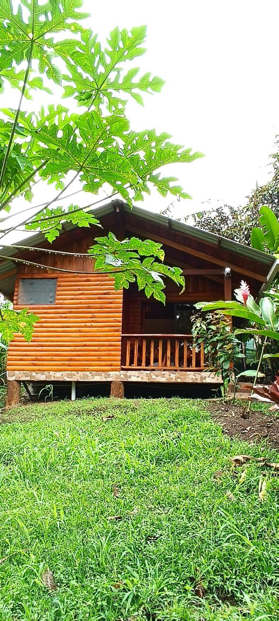Arenal Rustic Lodge La Fortuna Ngoại thất bức ảnh