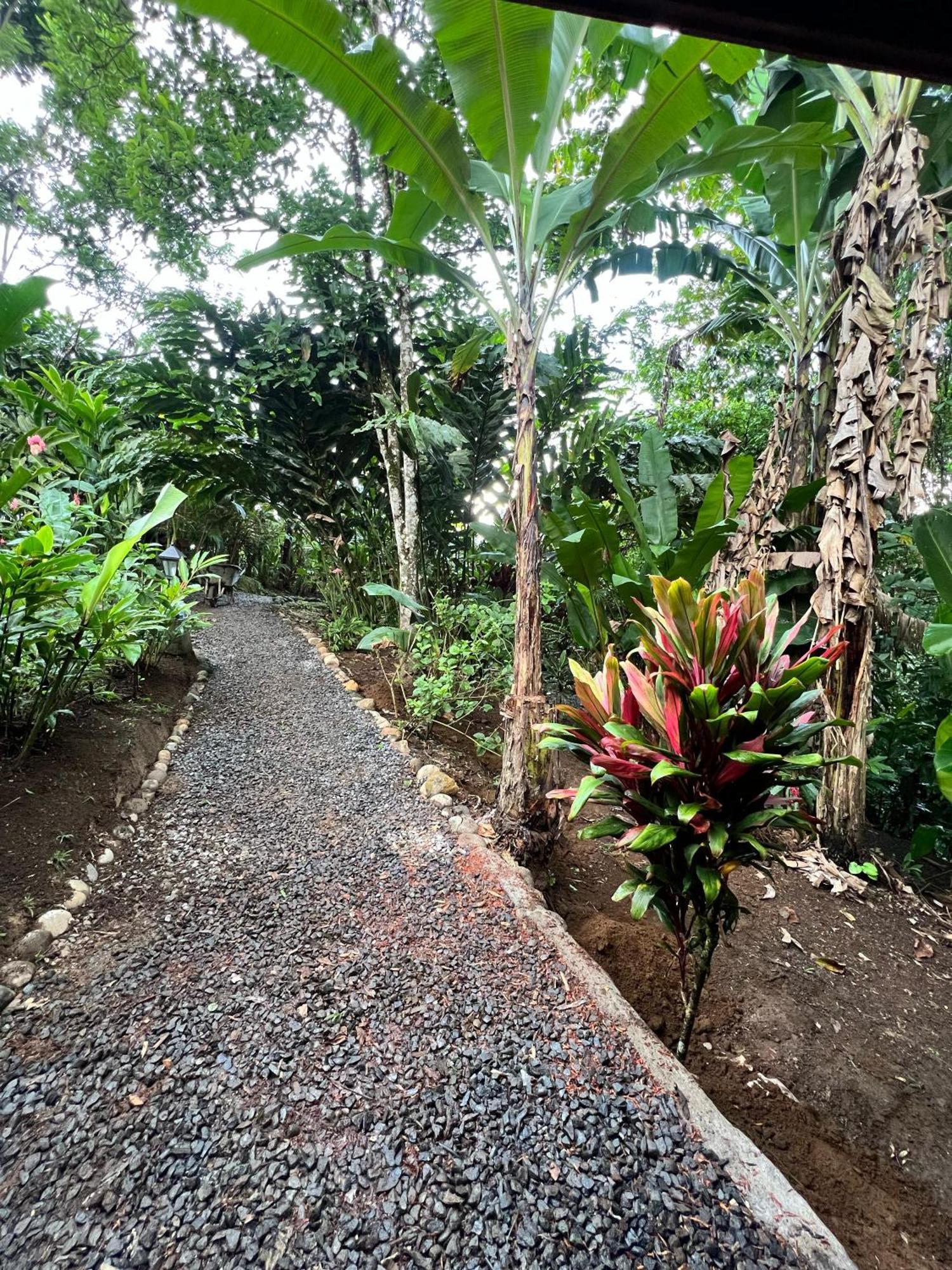 Arenal Rustic Lodge La Fortuna Ngoại thất bức ảnh