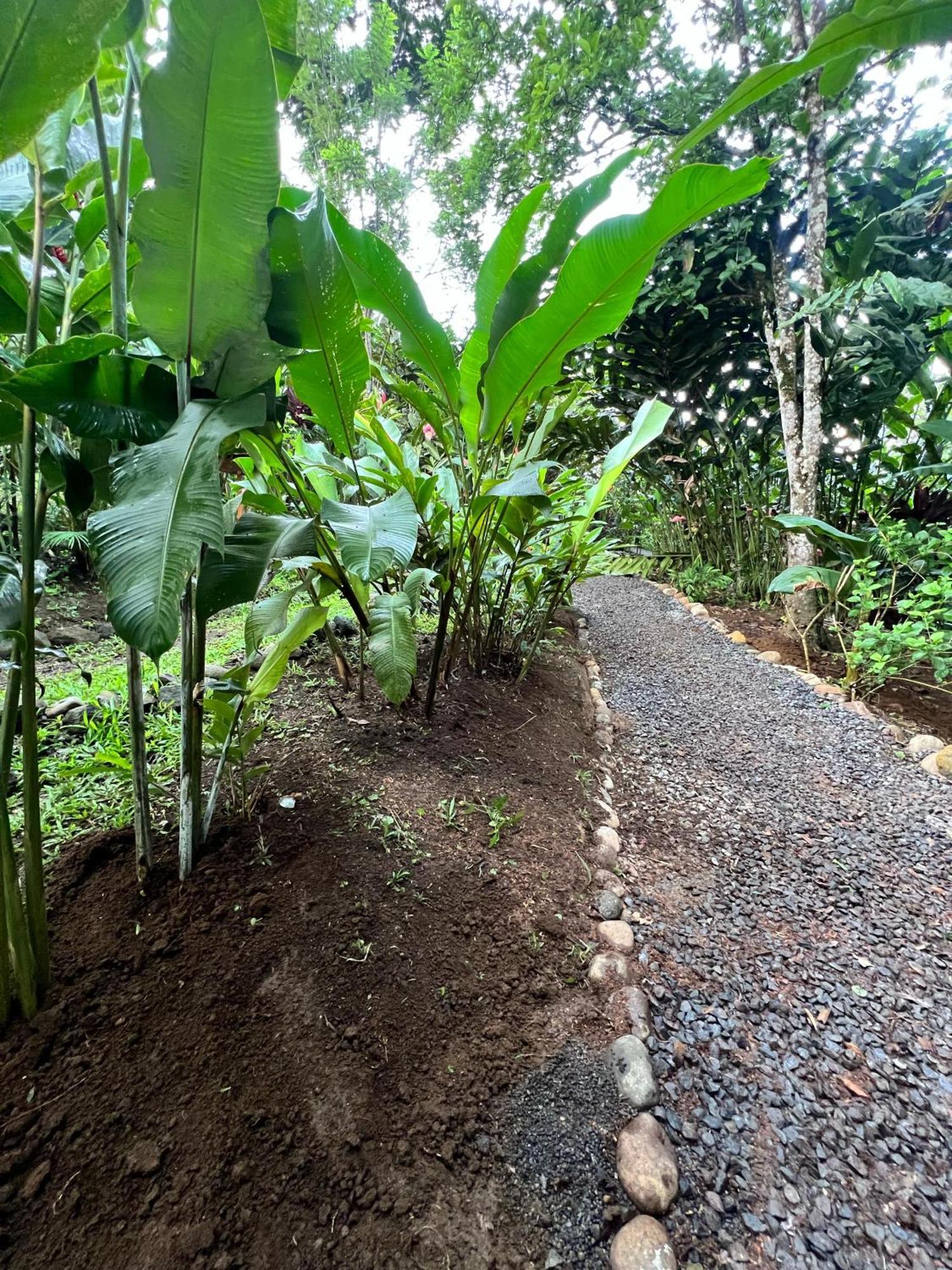 Arenal Rustic Lodge La Fortuna Ngoại thất bức ảnh